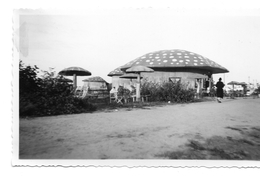 Photo HOFSTADE Zemst Mechelen Vue Du Parc D'attaraction Maiosn En Champignon 1934 - Places