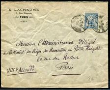 TUNISIE - N° 13 / LETTRE OBL. DAGUIN JUMELÉE DE TUNIS LE 31/3/1902 POUR PARIS - B - Brieven En Documenten