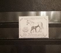 Yugoslavia, 1980, Mi: 1844 (MNH) - Horses