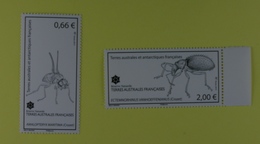 TAAF  Insectes  De La Réserve Naturelle De Crozet - Unused Stamps