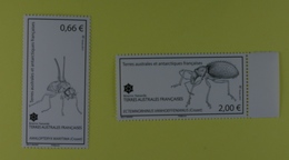 TAAF  Insectes  De La Réserve Naturelle De Crozet - Ungebraucht