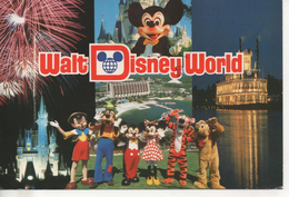 Delcampe - CP -  WALT DISNEY WORLD - WELCOME TO OUR WORLD - - Disneyworld
