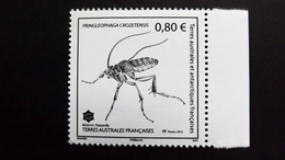 Französische Süd- Und Antarktisgebiete TAAF 914 **/mnh, Pringleophaga Crozetensis (endemische Schmetterlingsart) Crozet - Nuevos