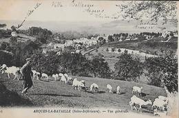 CARTE POSTALE ORIGINALE ANCIENNE : ARQUES LA BATAILLE  VUE GENERALE  ANIMEE  SEINE MARITIME (76) - Allevamenti