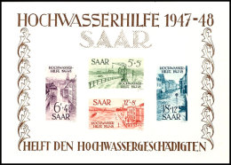 Großer "Hochwasserblock" Mit Gummiunebenheiten, Mi. 1.000,--, Katalog: Bl. 1 **/*Large "flood Souvenir... - Otros & Sin Clasificación