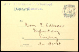 5 Pf. Ganzsachen, Je Tadellos, Bedarfsgebraucht, Katalog: P14/15 BF5 Pf. Postal Stationeries, Always In Perfect... - Camerún