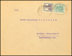 15+5 Pf. Germania Senkr. Portorichtig Auf Brief (gefaltet) Durch Bahnpost KREUZ-DEUTSCH-KRONE 25.10.19 Nach... - Autres & Non Classés