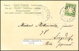 5 Pfg Dunkelopalgrün, Ausgabe 1890, Abart "mit Wz. 3", Einzelfrankatur Auf Postkarte Mit K1 "MUENCHEN 1.B.P.... - Autres & Non Classés