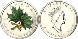 5 Dollars, 2002, Maple Leaf - Ahornzweig In Farbe (Tampondruck), KM 505, Schön 477, Im Etui Mit OVP Und... - Canada