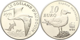 10 Euro, 2011, 50 Jahre World Wildlife Fund - Korallenmöwe, KM 1806, Schön 1214, Im Etui Mit OVP Und... - Otros & Sin Clasificación