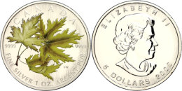 5 Dollars, 2006, Maple Leaf - Silberahornzweig In Farbe (Tampondruck, KM 660, Schön 695, Im Etui Mit OVP Und... - Otros & Sin Clasificación