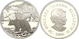20 Dollars, 2006, Kanadischer Nationalparks - Eisbär, KM 663, Schön 676, Im Etui Mit OVP Und Zertifikat,... - Autres & Non Classés
