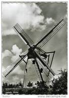 AARSELE Bij Tielt (W.Vl.) - Molen/moulin - Stenen Delmerensmolen, 50 Jaar Geleden Nog In Het Bezit Van Kap En Wieken - Tielt