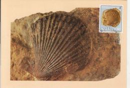 53622- FOSSIL, GEOLOGY, MAXIMUM CARD, OBLIT FDC, 1984, LUXEMBOURG - Other & Unclassified