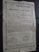 VALENCE (Drôme) - CERTIFICAT De BONNE CONDUITE - 6e REGIMENT D'ARTILLERIE - 13 Septembre 1895 - Other & Unclassified