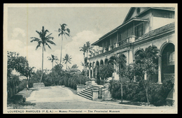 Delcampe - LOURENÇO MARQUES - Museu Provincial ( Ed. Santos Rufino Nº A/10) Carte Postale - Mosambik
