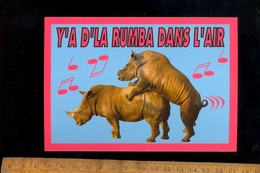 RHINOCEROS Couple Y A D'la Rumba Dans L'air - Rhinocéros
