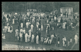 LOURENÇO MARQUES - Tarde De Domingo Na Praia Da Polana ( Ed. Spanos & Tsitsias Nº6765) Carte Postale - Mozambique