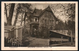 8930 - Alte MBK Ansichtskarte - Coswig - Lindenhof - Albertvilla - N. Gel - Coswig