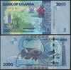 Uganda P 50 - 2000 2.000 Shillings 2010 - UNC - Oeganda