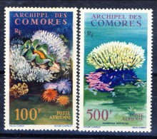 Comores 1962 Posta Aerea Serie N. 5-6 Fauna E Flora Marina MNH Catalogo € 45 - Poste Aérienne