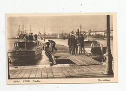 Cp , Bateaux , Ferrie , Les VEDETTES , 83 , TOULON , Vierge - Ferries