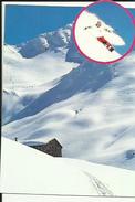 Carte De Sport D'Hiver ( Ski ) Photo  J P  Noisillier - Sports D'hiver