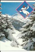 Carte De Sport D'Hiver ( Ski )  _ Photo  B  Bodin - Sports D'hiver