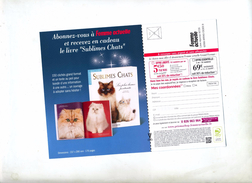 Carte Reponse T Femme Actuelle Theme Chat - Buste Risposta T