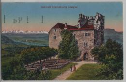 Schloss Habsburg (Aargau) Animee Belebt - Photo: Metz - Stabstempel: Bad Schinznach In Blau - Schinznach 