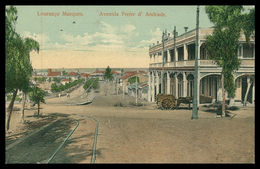 LOURENÇO MARQUES - Avenida Freire D' Andrade ( Ed. J. Fernandes Moinhos) Carte Postale - Mosambik