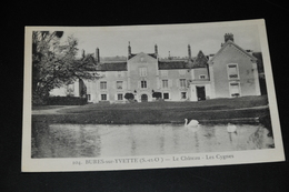 41- Bures-sur-Yvette - Le Château - Les Cygnes - Bures Sur Yvette