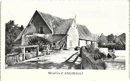 Moulin à Eau D'Angibault - La Vallée Noire (Indre) - Carte Non Circulée - Mulini Ad Acqua