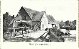 Moulin à Eau D'Angibault - La Vallée Noire (Indre) - Carte Non Circulée - Watermolens