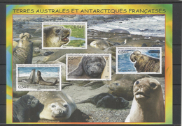 TAAF ANTARTCTIC ANTARTIDA POLO SUR FOCAS FURS MAMIFERO MARINO - Antarktischen Tierwelt