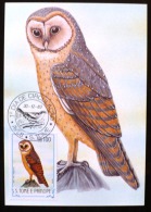 ST TOME ET PRINCIPE Oiseaux, Rapaces, Birds, Vögel, Chouettes Et Hiboux. CARTE MAXIMUM YVERT N° 795 - Owls