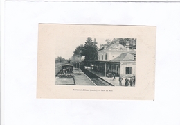 Delcampe - Aire  Sur  Adour  (Landes)  -  Gare  Du  Midi - Aire