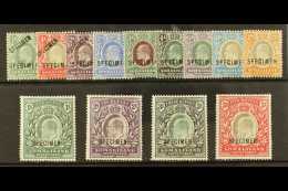 1904 Ed VII Set Complete Overprinted "Specimen", SG 32s/44s, Very Fine And Fresh Mint, Hinge Remainders. (13... - Somalilandia (Protectorado ...-1959)