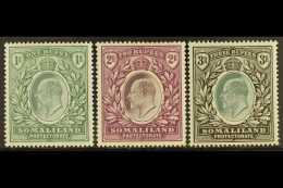 1904 1r, 2r, And 3r, SG 41/43, Fine Mint. (3 Stamps) For More Images, Please Visit... - Somaliland (Herrschaft ...-1959)