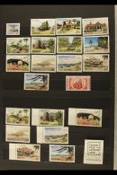 1980-86 NEVER HINGED MINT COLLECTION An Extensive Collection Which Includes Many Complete Sets, Gutter Pairs,... - St.Christopher-Nevis-Anguilla (...-1980)