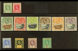 1902-11 COMPLETE MINT KEVII COLLECTION Presented On A Stock Card. Includes A Complete Basic Run Of This Reign, SG... - Isla Sta Helena