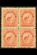 1899-1903 6d Pale Rose Kiwi, SG 265, Mint BLOCK OF FOUR, Gum Disturbed On Right Vertical Pair, The Lower Left... - Otros & Sin Clasificación