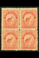 1899-1903 6d Pale Rose Kiwi, SG 265, Mint BLOCK OF FOUR, Gum Disturbed On Right Vertical Pair, The Lower Left... - Sonstige & Ohne Zuordnung