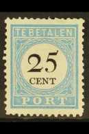 POSTAGE DUE 1881-87 25c Pale Blue & Black Type II Perf 12½x12 (Michel 11 II C, SG D162b, NVPH P11B II),... - Sonstige & Ohne Zuordnung