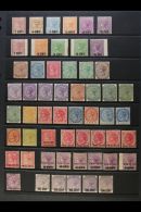 1878-1902 QV - MINT NEW CURRENCY COLLECTION Presented On A Pair Of Stock Pages. Includes 1878 Surcharges With Most... - Mauritius (...-1967)
