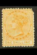 1875 1s Orange (15½mm), Wmk Crown CC, Perf 12½, SG 8, Mint With Damaged Corner. Cat £700. For... - Nigeria (...-1960)