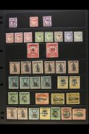 1891-1904 MINT ACCUMULATION. A Most Useful Hoard Discovered In A Pile Of Crinkly Old Glassines, Now Presented On A... - Borneo Septentrional (...-1963)