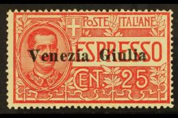 VENEZIA GIULIA 1919 25c Red Express, Sass 1, Very Fine Never Hinged Mint. Signed Sorani. Cat €450... - Sin Clasificación