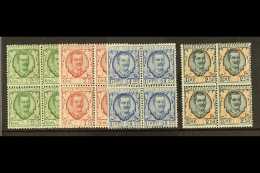 1926 25c - 2L50 "Floreale" Set, Sass S41, In Superb NHM Blocks Of 4. Cat €1100  (£935) (16 Stamps) For... - Non Classés