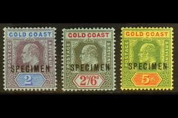 1907-13 3s, 2s6d & 5s Top Values With "SPECIMEN" Overprints, SG 66s/68s, Very Fine Mint, Very Fresh. (3... - Gold Coast (...-1957)